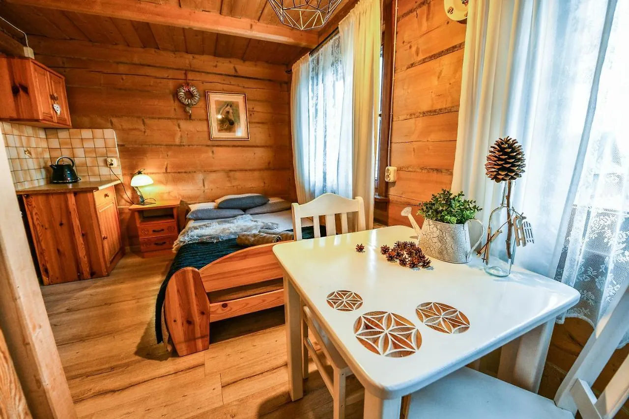 Apartmán Willa Bachledowka Zakopane